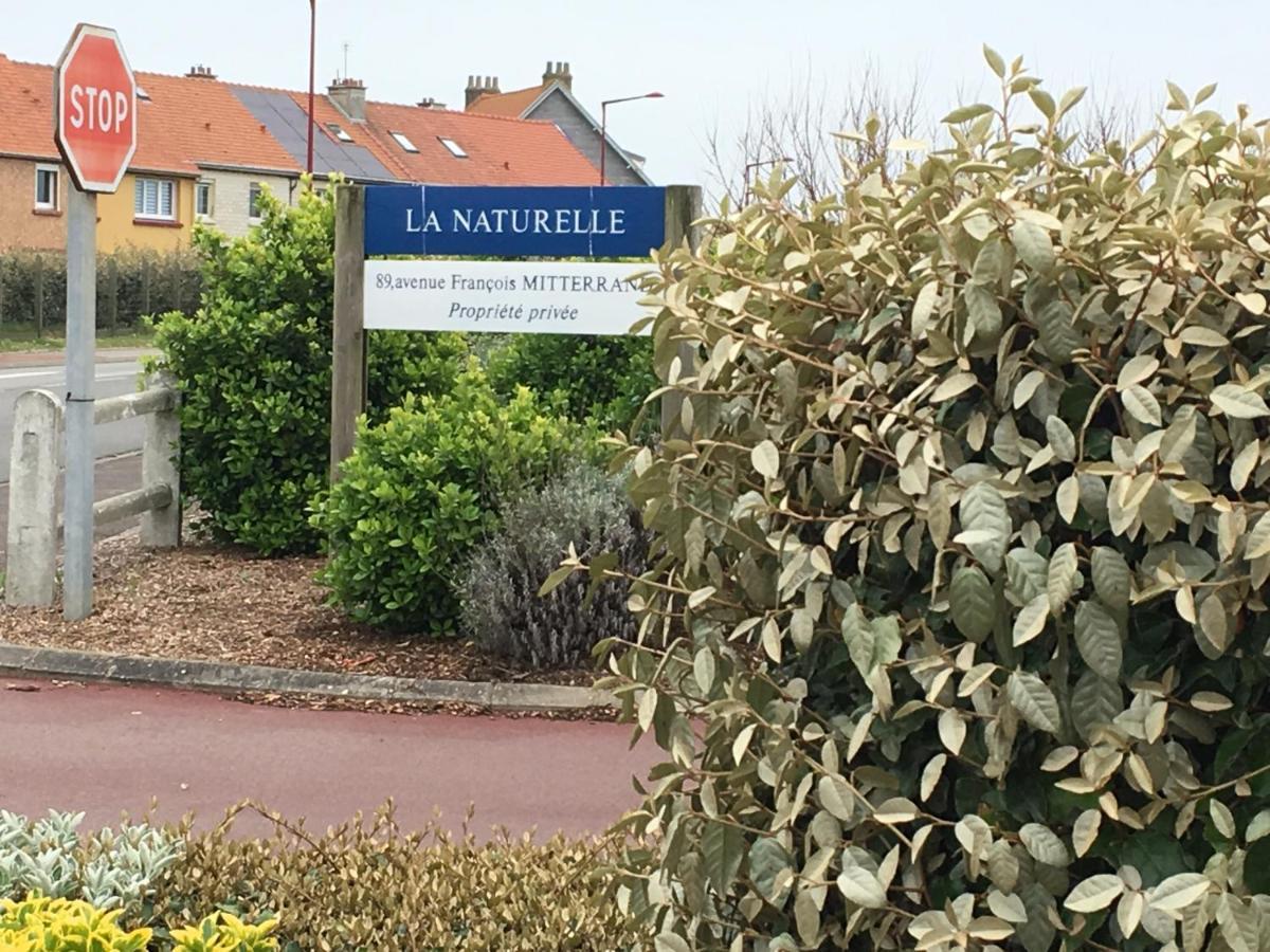 La Mer Vue D'En Haut , Duplex A La Naturelle Sur La Cote D'Opale วีเมอเรอ ภายนอก รูปภาพ